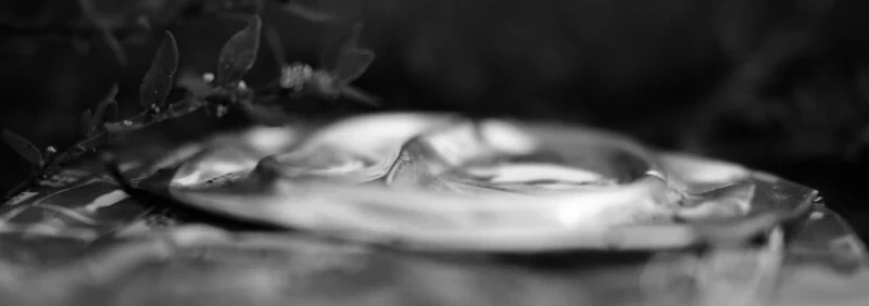 Photography: Litterland