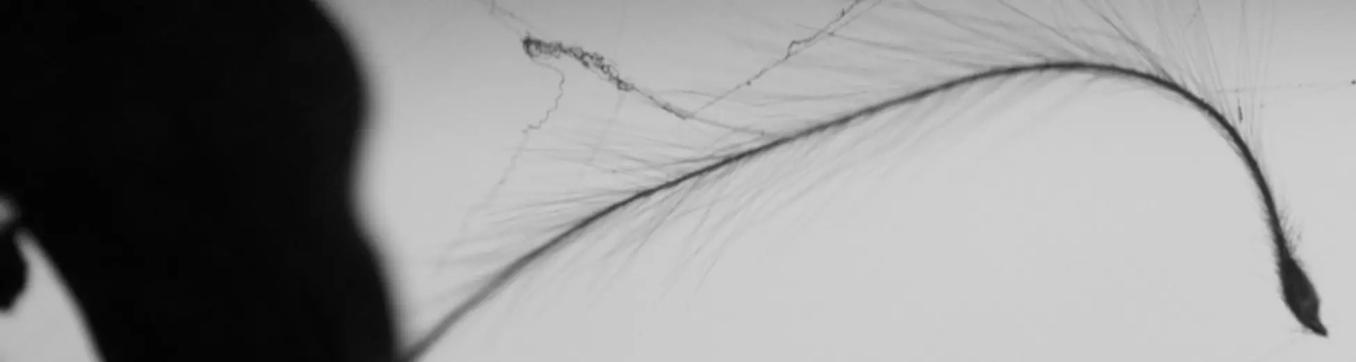 header image to add some schwung